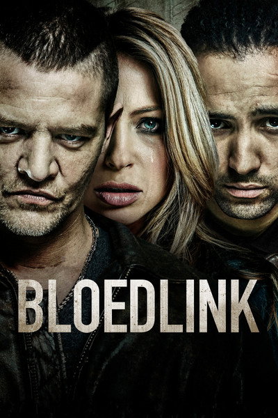 Póster de Reckless