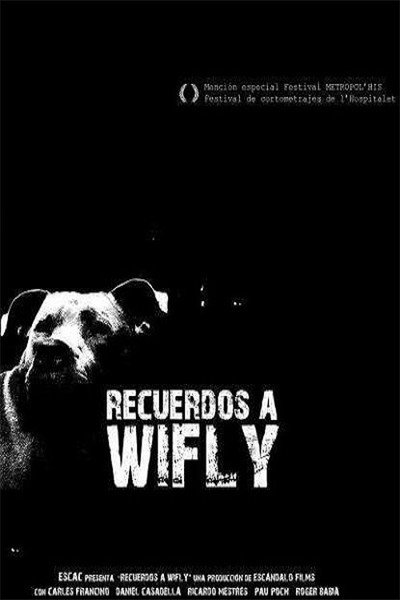 Póster de Recuerdos a Wifly