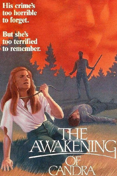Póster de Recuerdos de muerte