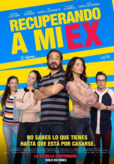 Póster de Recuperando a mi Ex