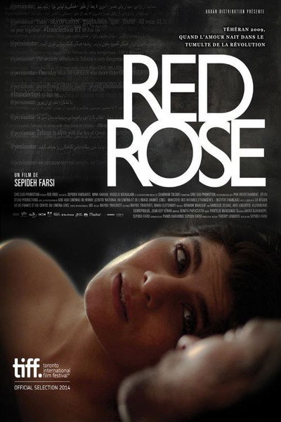 Póster de Red Rose