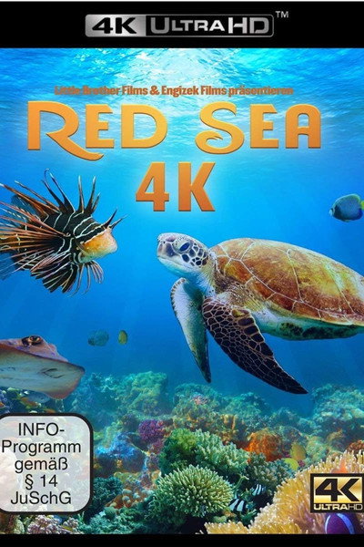 Póster de Red Sea 4K