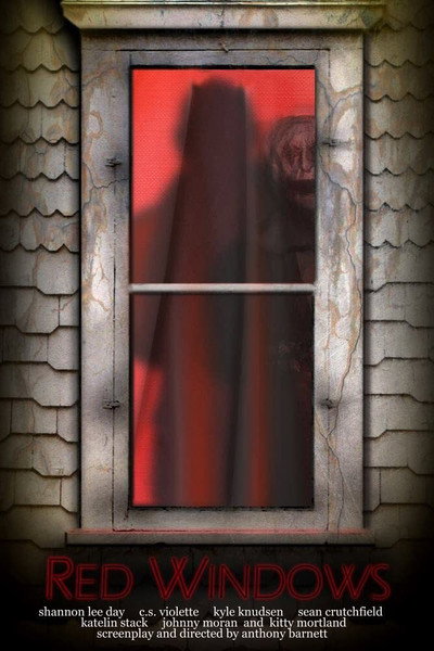 Póster de Red Windows