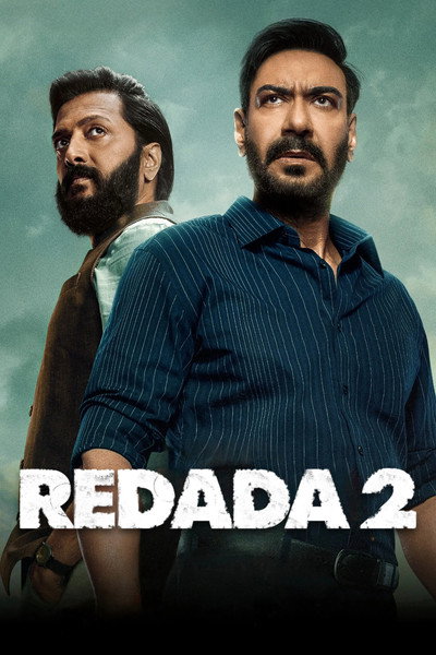 Póster de Redada 2