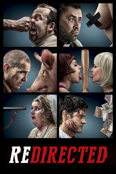Póster de Redirected