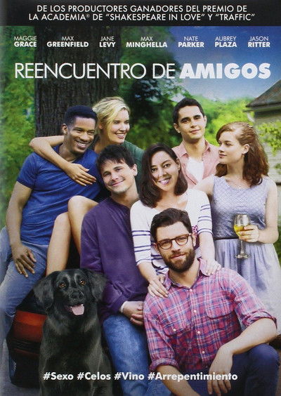 Póster de Reencuentro de amigos