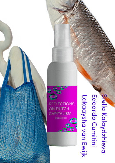 Póster de Reflections on Dutch Capitalism; Zero Sugar Version