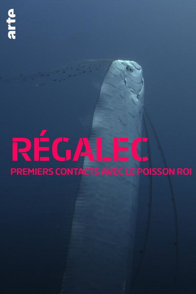 Póster de Régalec, premiers contacts avec le poisson roi