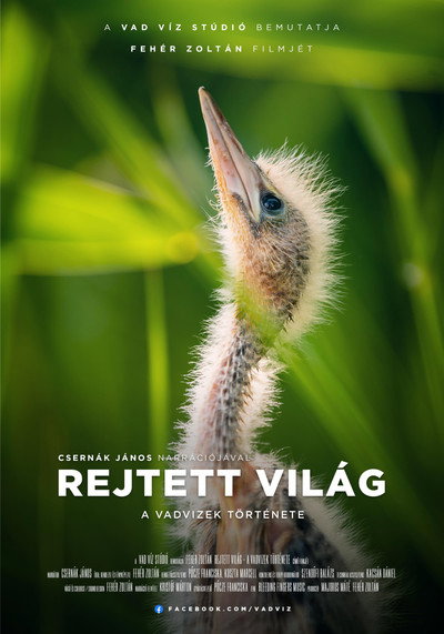 Póster de Rejtett világ - A vadvizek története