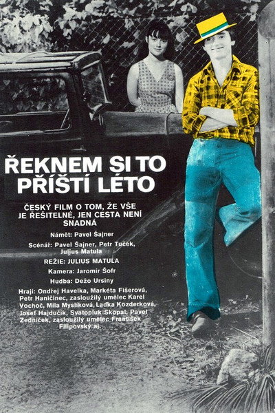 Póster de Reknem si to prístí léto