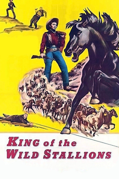 Póster de Relámpago negro