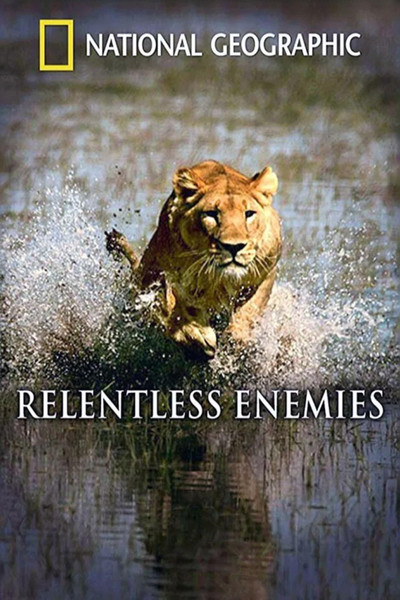 Póster de Relentless Enemies