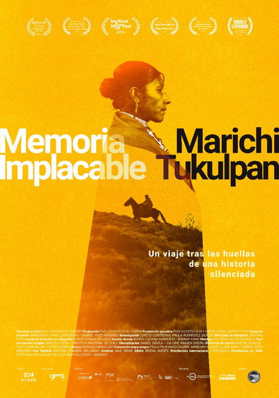 Póster de Relentless Memory