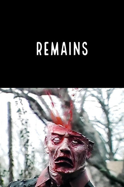 Póster de Remains