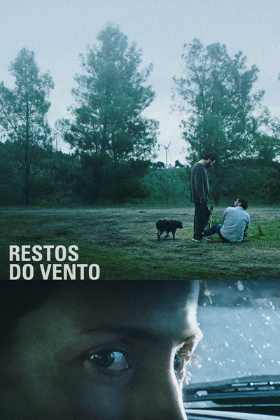Póster de Remains of the Wind