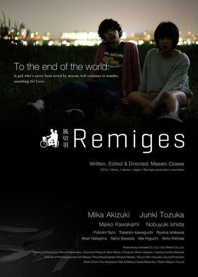 Póster de Remiges