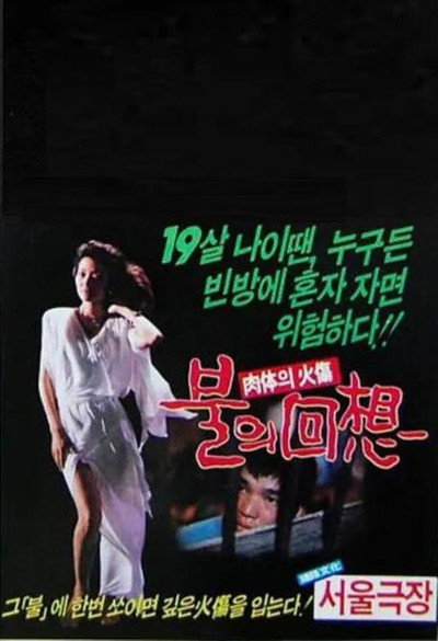 Póster de Reminiscent Flame