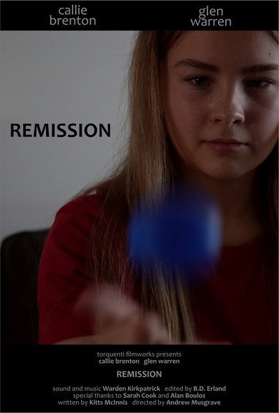 Póster de Remission