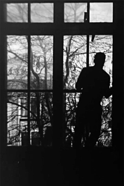 Póster de Remnant from Echo and Shadow