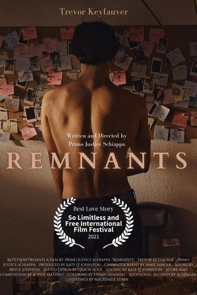 Póster de Remnants