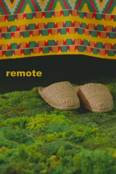 Póster de Remote
