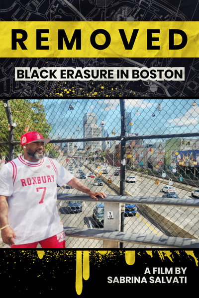 Póster de Removed: Black Erasure in Boston