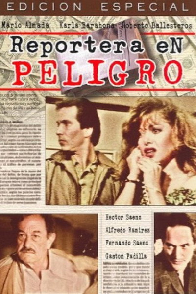Póster de Reportera en peligro