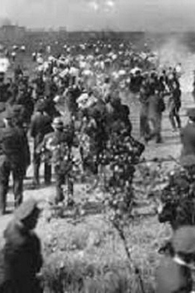 Póster de Republic Steel Strike Riots Newsreel Footage
