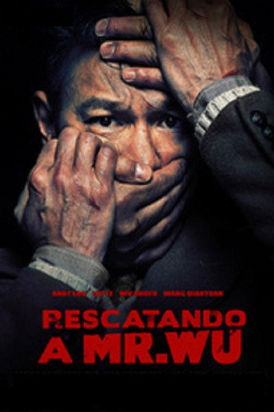 Póster de Rescatando a Mr. Wu