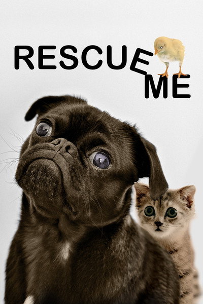 Póster de Rescue Me
