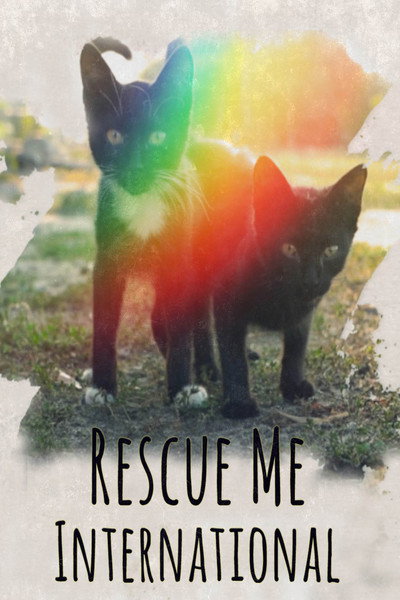 Póster de Rescue Me: International