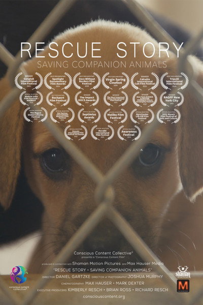 Póster de Rescue Story - Saving Companion Animals