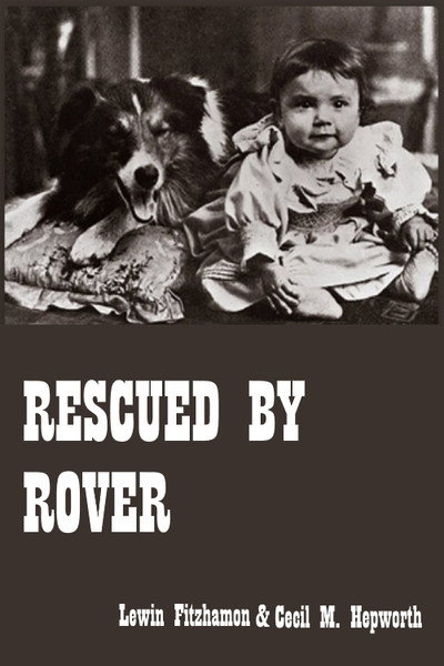 Póster de Rescued by Rover