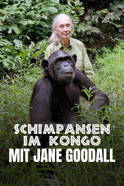 Póster de Rescued Chimpanzees of the Congo with Jane Goodall