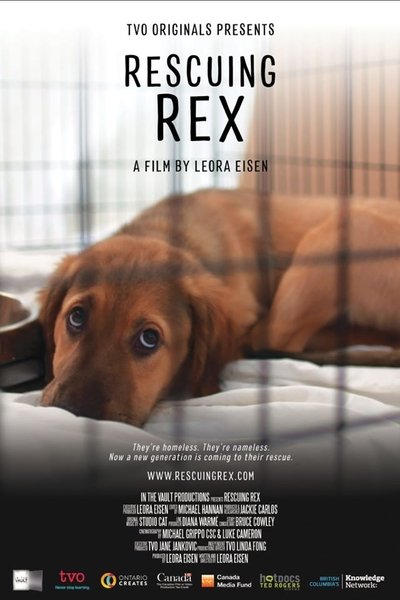 Póster de Rescuing Rex