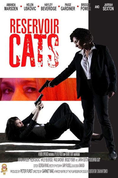 Póster de Reservoir Cats