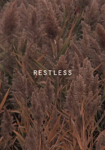 Póster de Restless