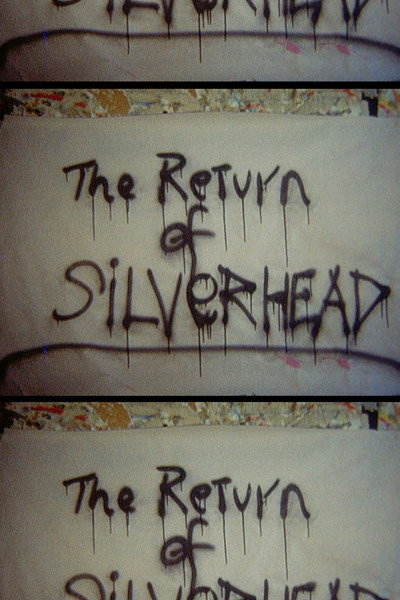 Póster de Return of Silver Head