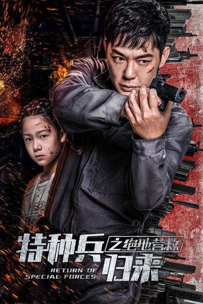 Póster de Return of Special Forces V
