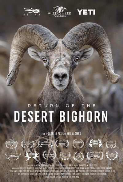 Póster de Return of the Desert Bighorn