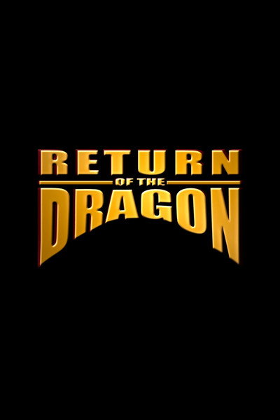 Póster de Return of the Dragon