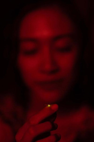 Póster de Return of the Fireflies