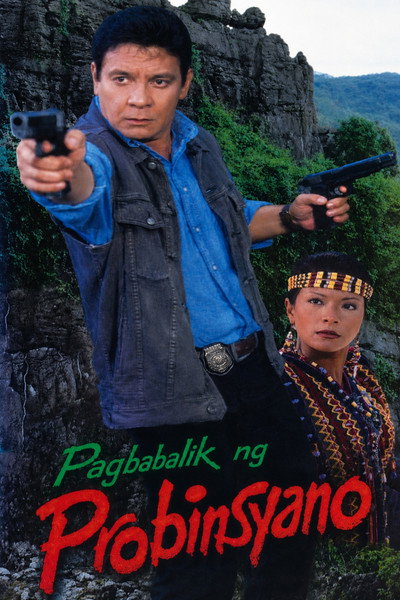 Póster de Return of the Provincial Man