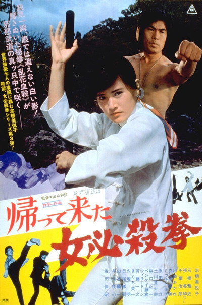 Póster de Return of the Sister Street Fighter