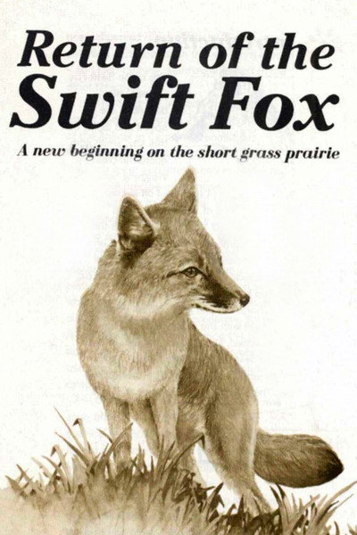 Póster de Return of the Swift Fox