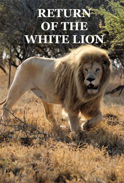 Póster de Return of the White Lion