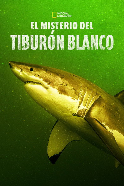 Póster de Return of the White Shark