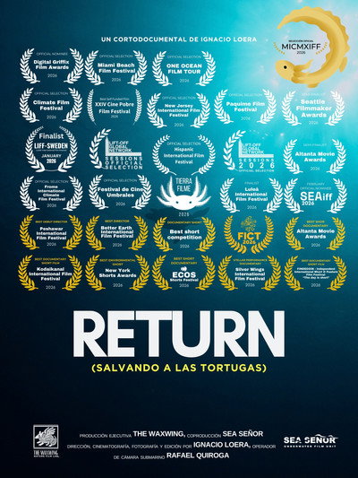 Póster de Return: Salvando a las Tortugas