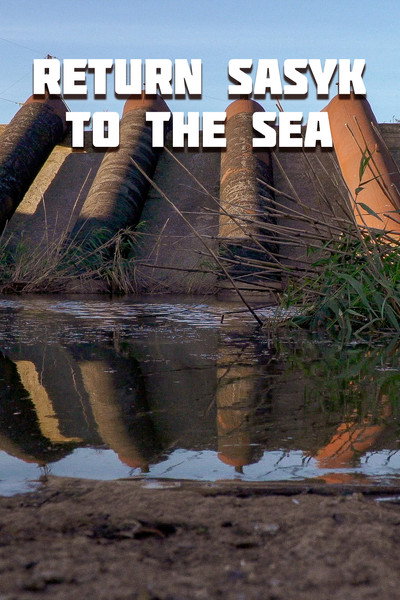 Póster de Return Sasyk to the Sea