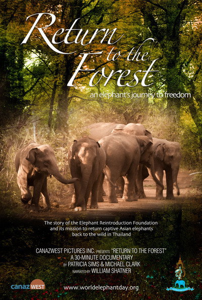 Póster de Return to the Forest